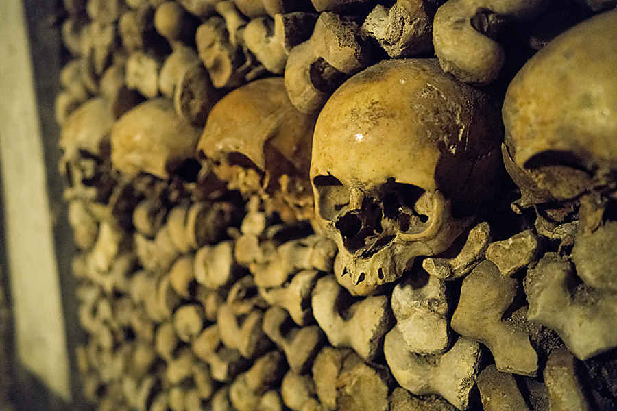 Catacombs Paris with Kids 