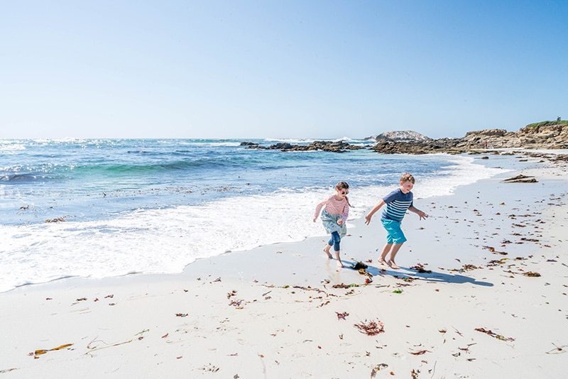 monterey with kids