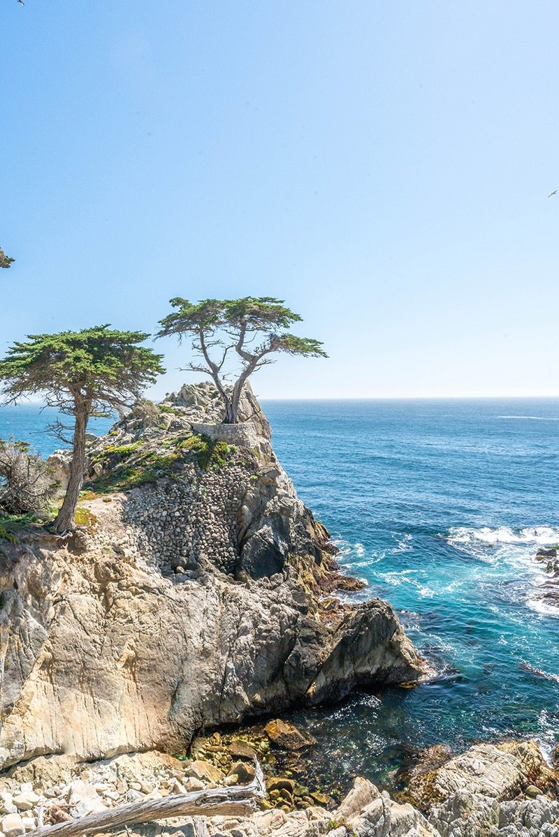 One Week on California's Pacific Coast Highway - The Break of Dawns