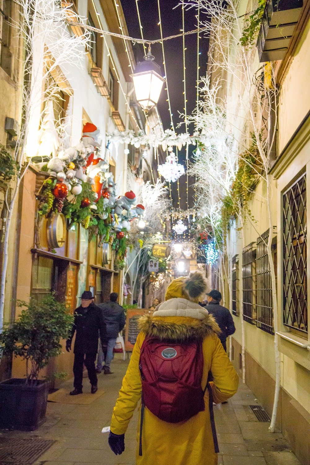 Strasbourg Christmas Markets