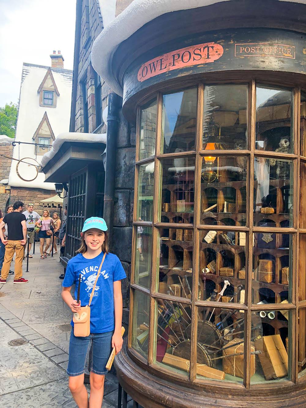 The Wizarding World of Harry Potter