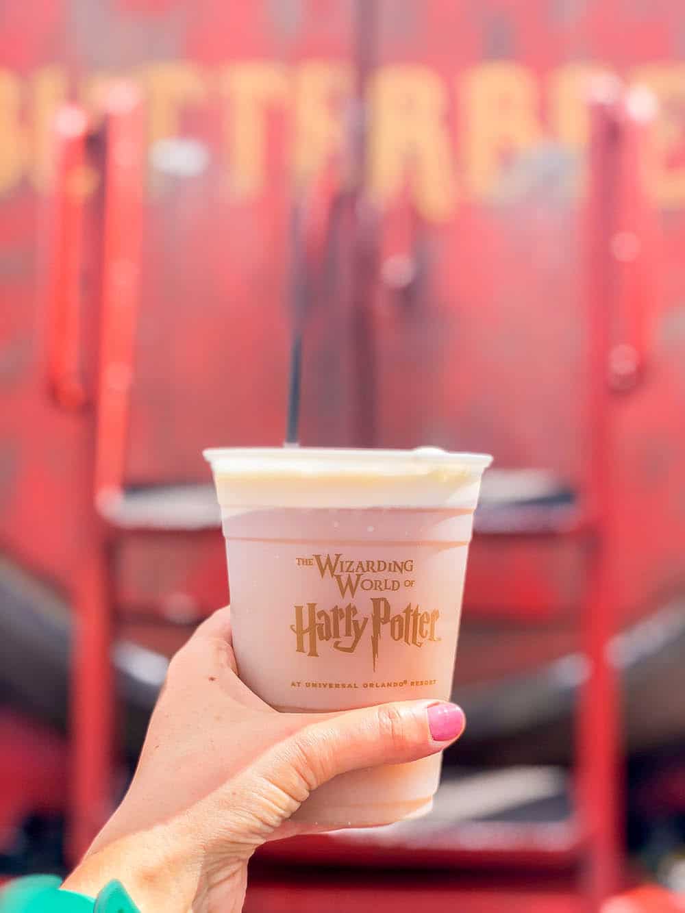 The Wizarding World of Harry Potter