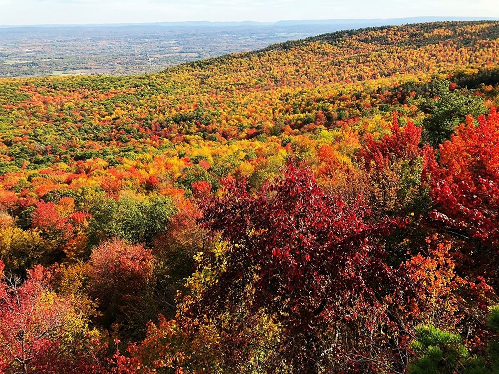 EastCoastFallColorsMinnewaska State Park Wanderlust Crew