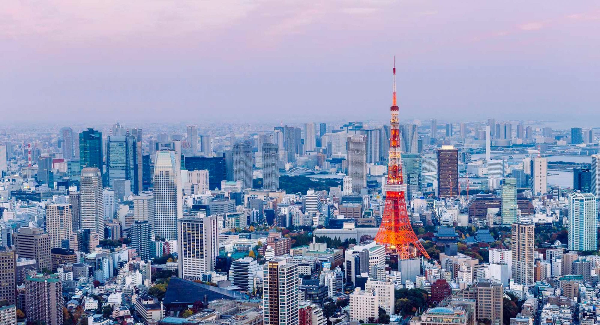 12 Things to See and Do in Tokyo