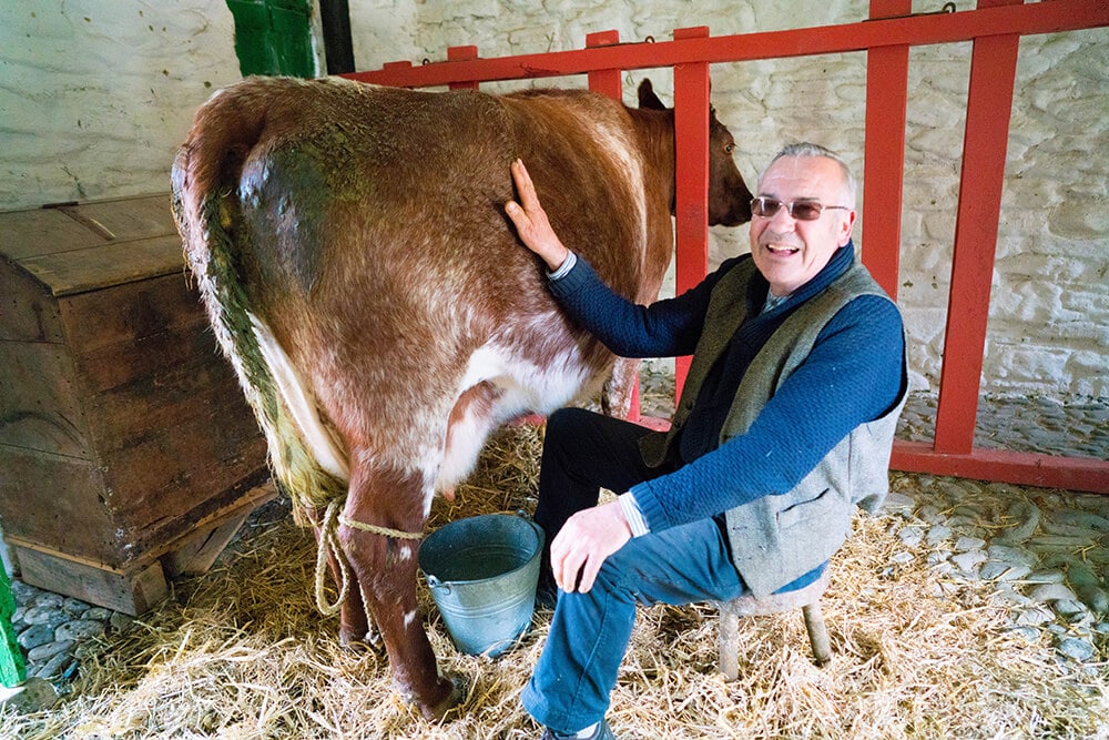 The Best Places to Visit in Ireland Muckross Traditional Farms