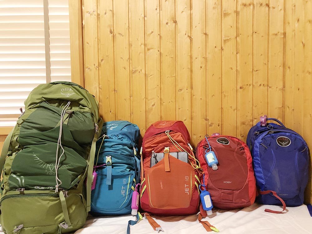 backpacking europe bag