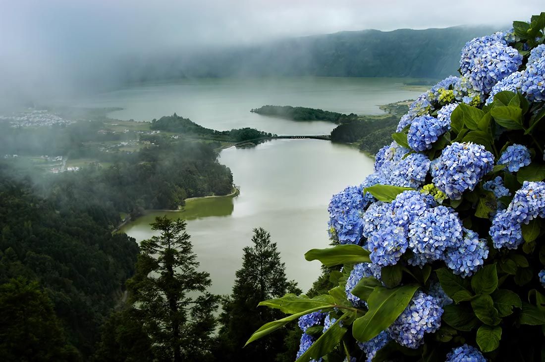 Sao Miguel Azores - hydrangeas and lakes