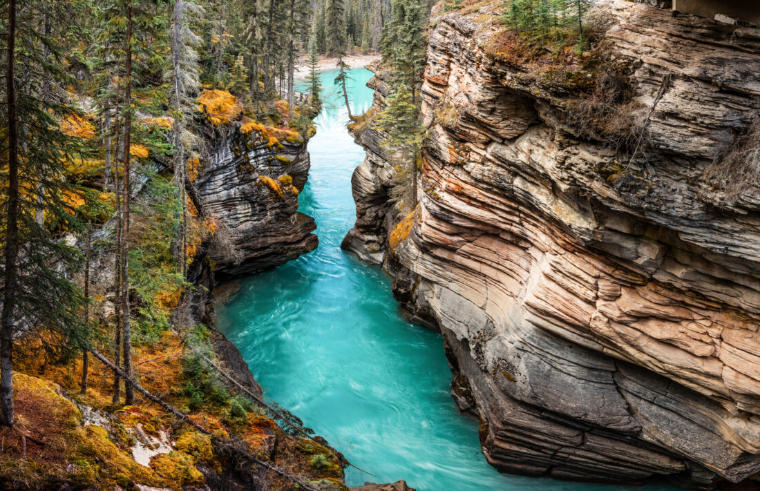 A bright blue river running through a canyon in Jasper National Park Alberta Canada