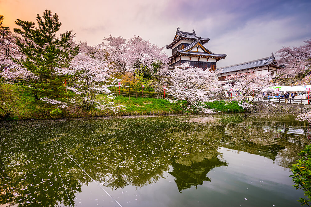 planning your own trip to japan