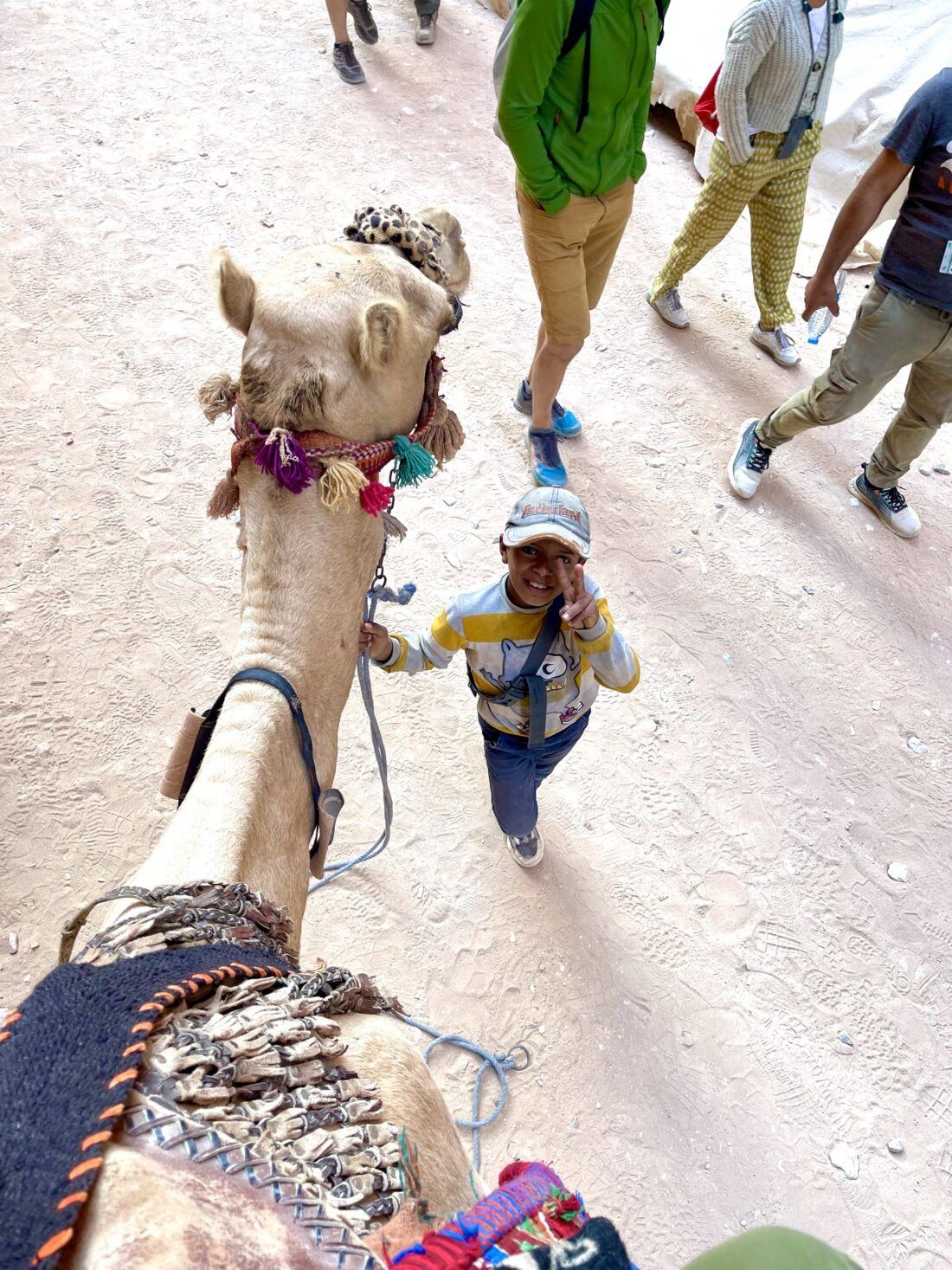 camel and kid