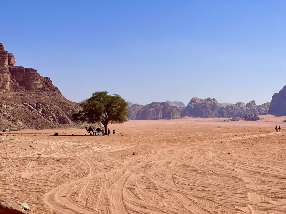 Wadi Rum Sand