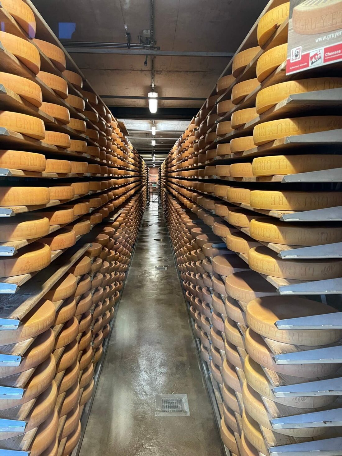 Shelves of cheese being aged in Gruyeres Switzerland