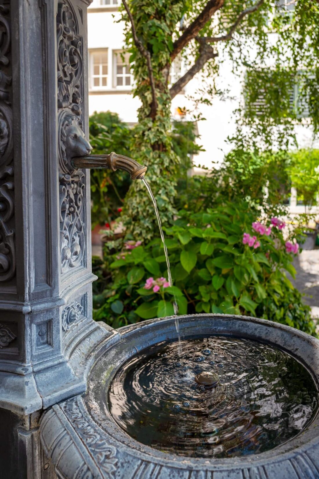 A fountain with water coming out of a lion's mouth