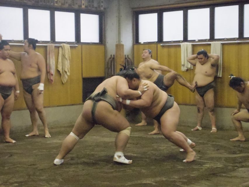 Tokyo: 2-Hour Guided Sumo Morning Practice Viewing Tour