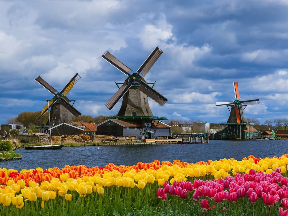 day trips to amsterdam from london